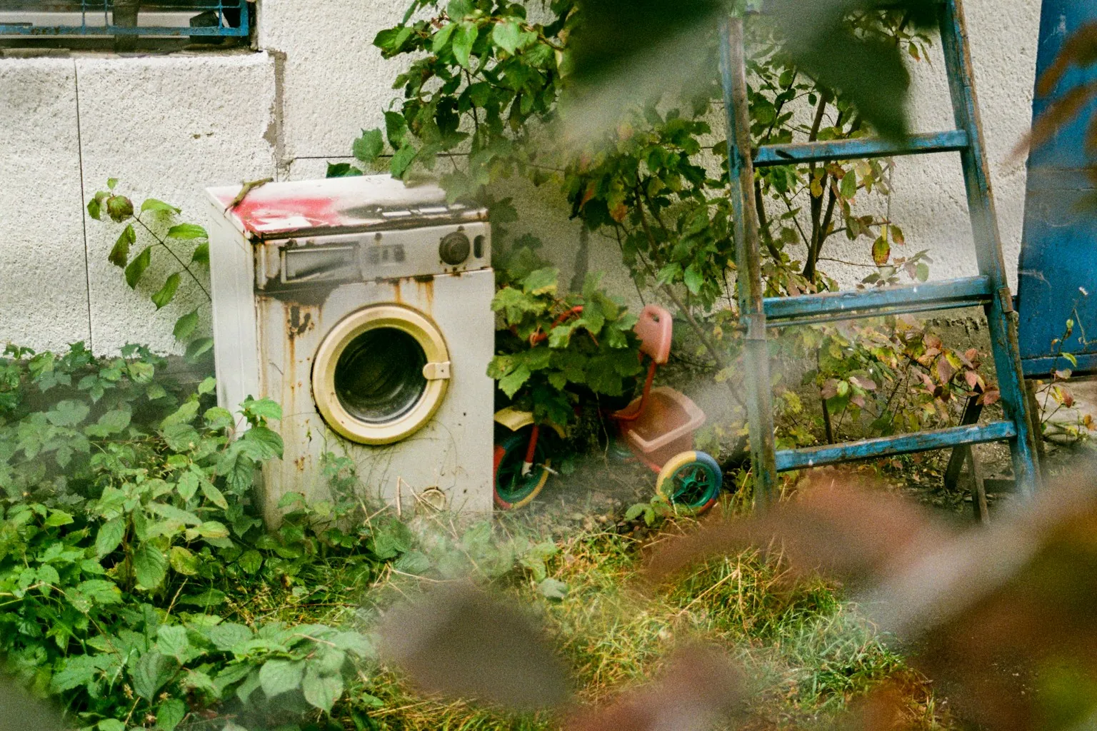 Oude wasmachine buiten tussen de planten